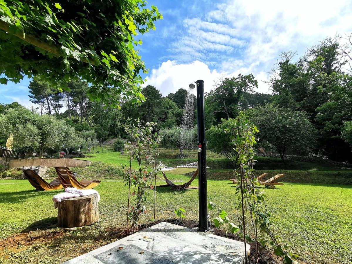 A14 Pietrasanta La Dama Del Bosco Panzió Kültér fotó