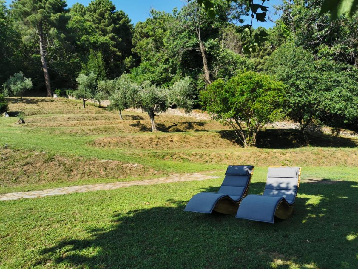 A14 Pietrasanta La Dama Del Bosco Panzió Kültér fotó