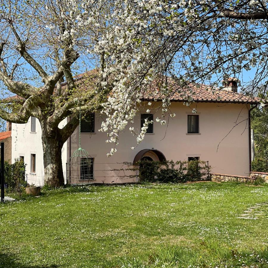A14 Pietrasanta La Dama Del Bosco Panzió Kültér fotó